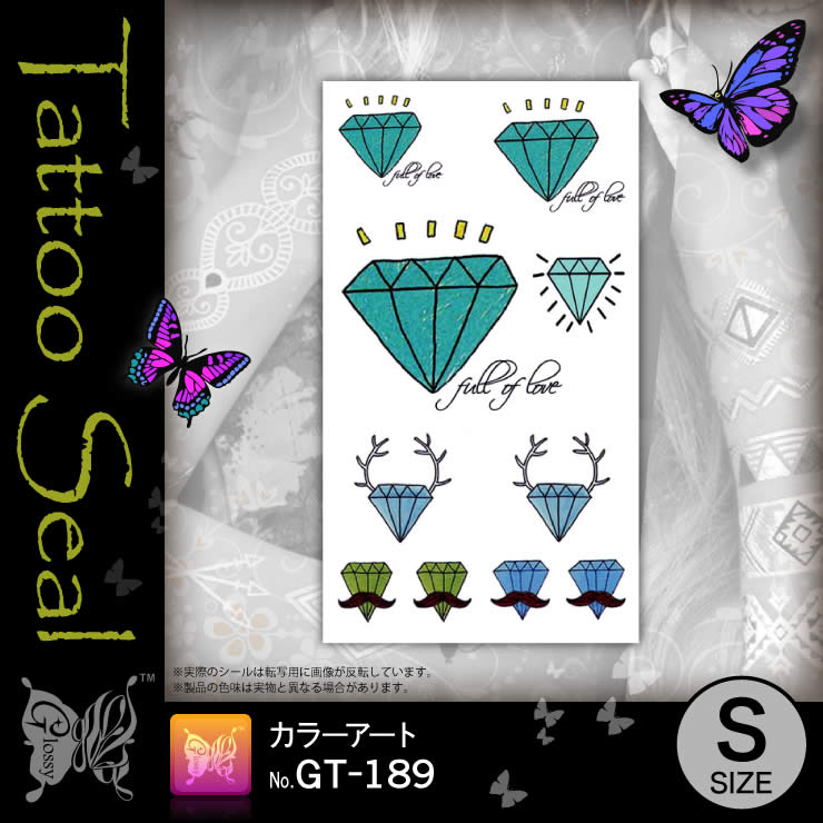 ���ȥ��������� ���顼������ (GT-189) ��10���åȡ�