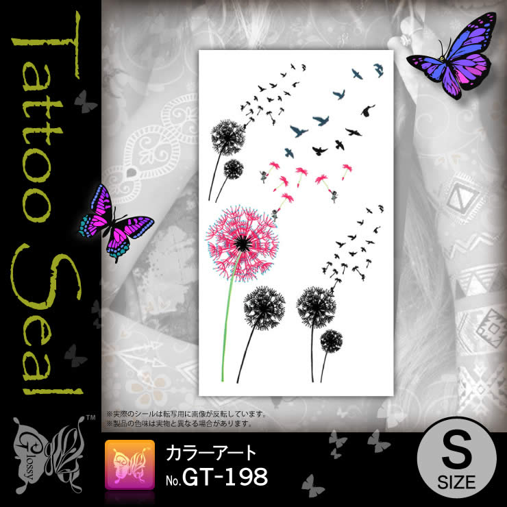 ���ȥ��������� ���顼������ (GT-198) ��10���åȡ�