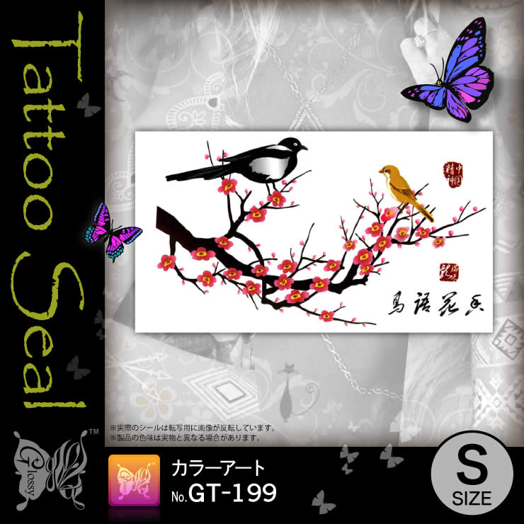 ���ȥ��������� ���顼������ (GT-199) ��10���åȡ�