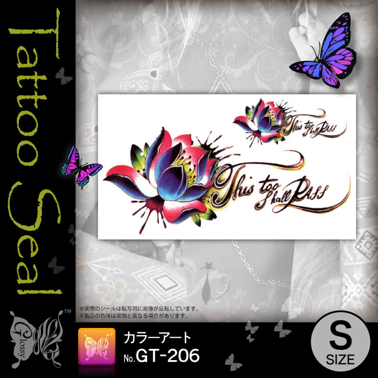 ���ȥ��������� ���顼������ (GT-206) ��10���åȡ�