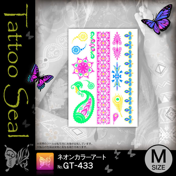 ���ȥ��������� �ͥ��󥫥顼������ (GT-433) ��10���åȡ�