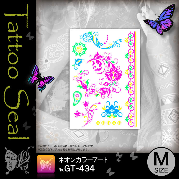 ���ȥ��������� �ͥ��󥫥顼������ (GT-434) ��10���åȡ�