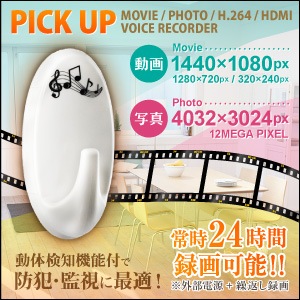 �����佪λ�ۥեå��� ��˥���� �ӥǥ������ (R-222) H.264 ư�θ��� ��⥳����