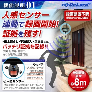 佪λȴƻ륫 ȥ 󥵡饤 ɡOL-018)