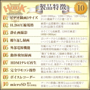 �����佪λ�ۥեå��� ��˥���� �ӥǥ������ (R-222) H.264 ư�θ��� ��⥳����