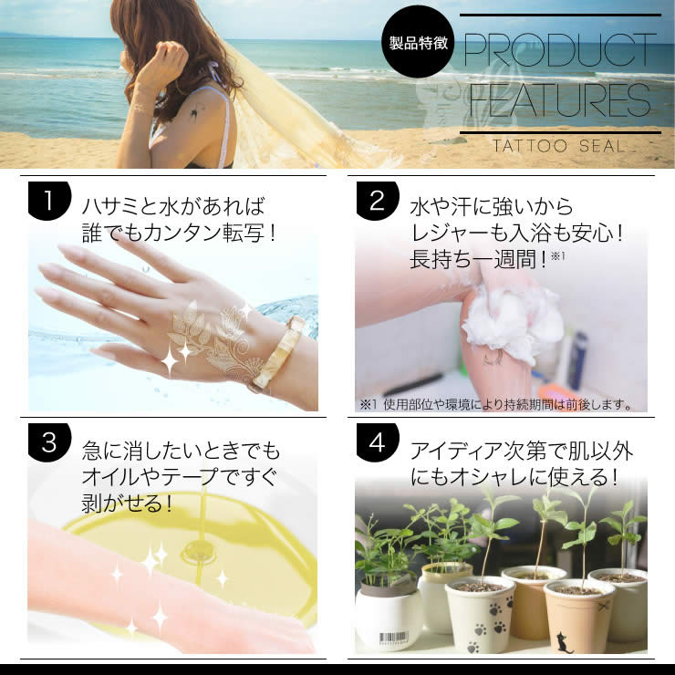 ���ȥ��������� ���㥤�ˡ��᥿��å� (GT-308) ��10���åȡ�