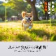 佪λGexa() 1080P USB֥ ȥե  [UT-130] ȥ Android
