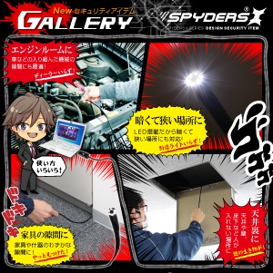 �����佪λ�ۥե����С��������ץ���� ���ѥ�������X (M-926��) 10m���󥰥����֥� �⵱��LED�饤��