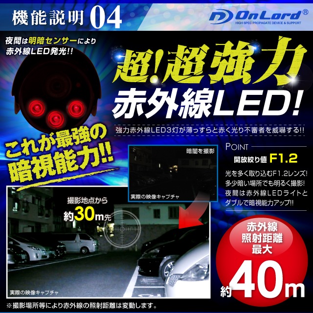 ���ѹ�����������_201604�����ȥ���� �����ֳ���LED�饤�� 6mm��󥺡�OL-019�� 24���־��Ͽ�� �Ż뻣�� �ɿ��ɿ� �ƻ륫��� ��������� OnLord