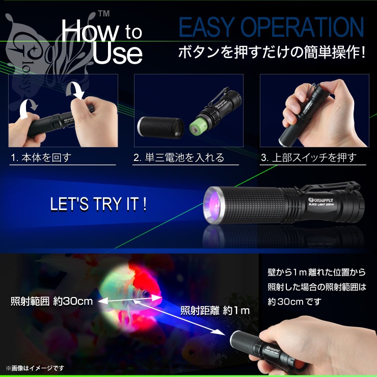 ֥å饤 (GA-001G)  5åȡ