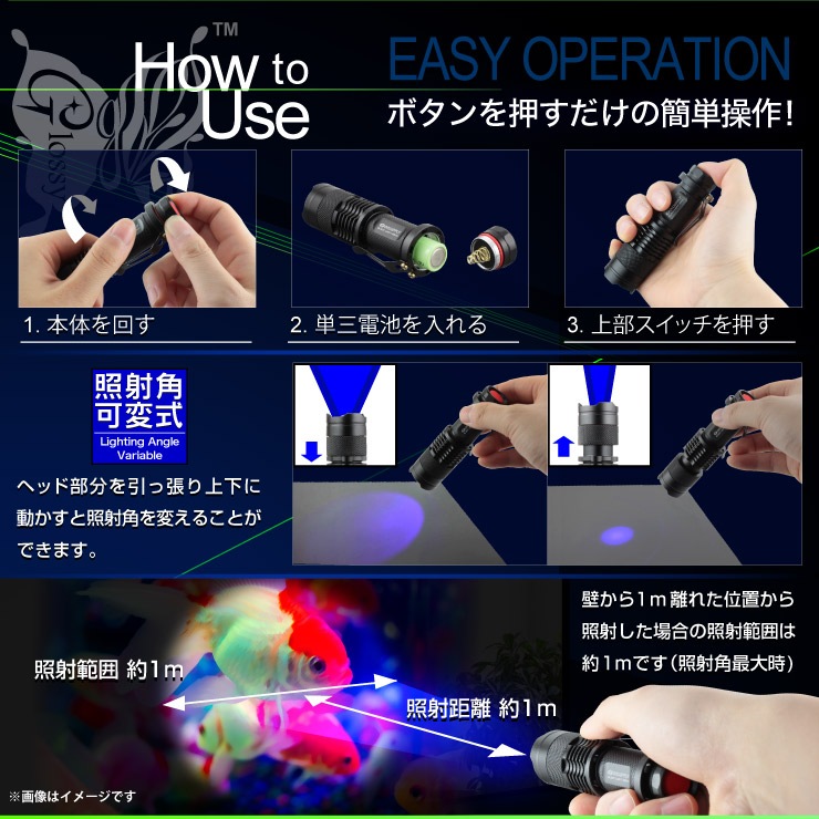 ֥å饤 (GA-0030) ֥å 5åȡ