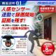 ���ѹ�����������_201506�� ������������ȥ���� ���󥵡��饤���� ��������ɡ�OL-018)
