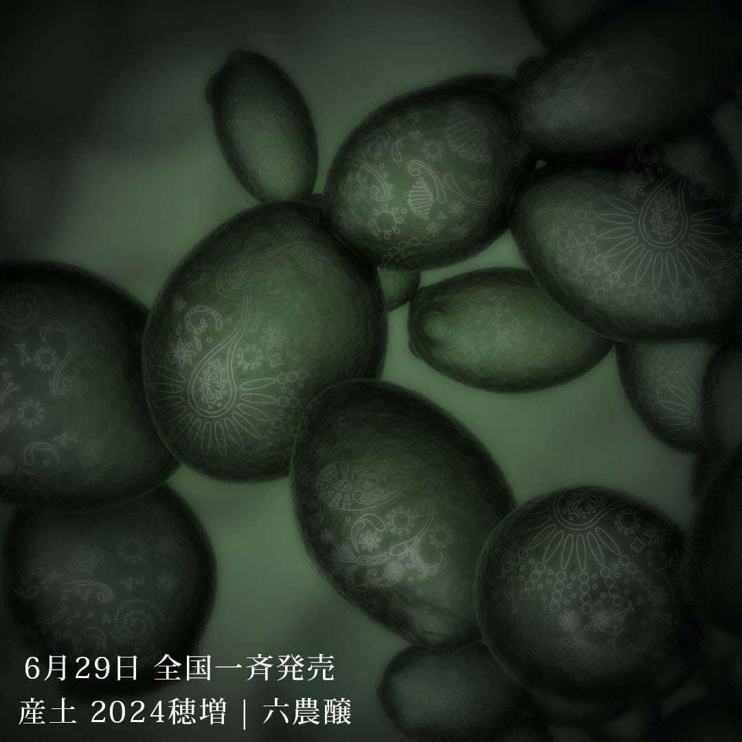 �����ܼ�ۻ��� ���� ϻ����<720ml> ����1����1�ܸ¤�