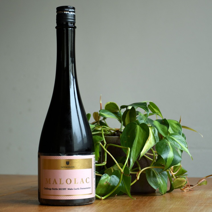 �����ܼ��TATENOKAWA MALOLAC (������ �ޥ��饯) ��������<720ml>
