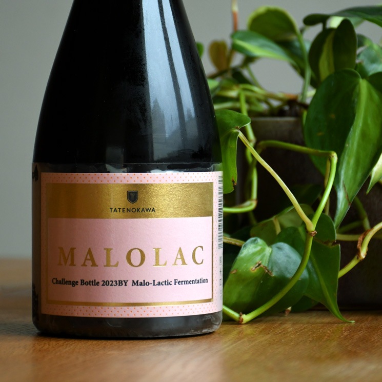 �����ܼ��TATENOKAWA MALOLAC (������ �ޥ��饯) ��������<720ml>