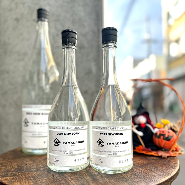 特大。山採りシロモジ。 特大。山採りシロモジ。 特大。山採りシロモジ。