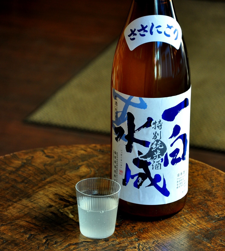 サニーゴ 旧裏 余白部分あり サニーゴ 旧裏 余白部分あり