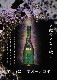 �����ܼ�ۻ��� Ubusuna (���֤���) 2022 ���� ���ܾ���<720ml>����1����1�ܸ¤�