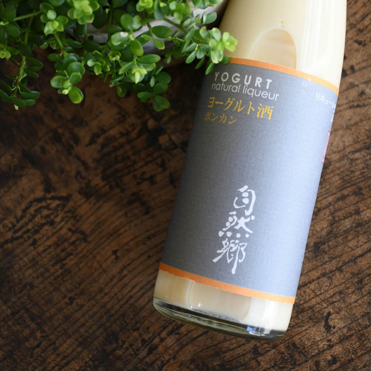 �ڥ衼����ȼ�ۼ����� �衼����ȼ� �ݥ󥫥�<500ml>