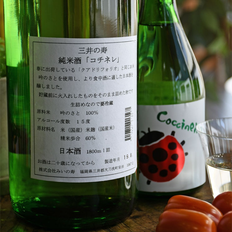 �����ܼ�ۻ���μ� ���Ƽ� �����ͥ� <500ml>