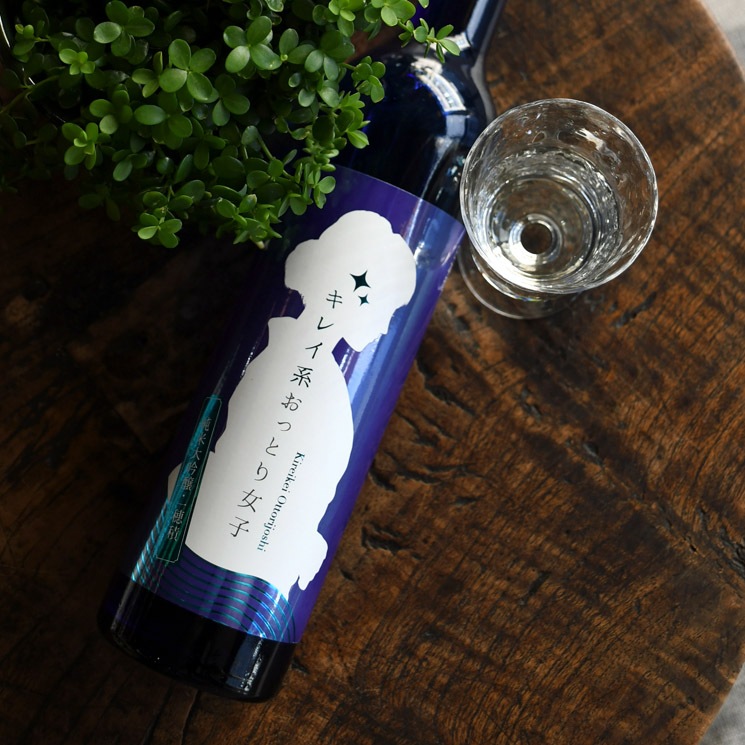 �����ܼ��ξ�ؼ�¤ ���쥤�Ϥ��äȤ���� �������� ������<500ml>