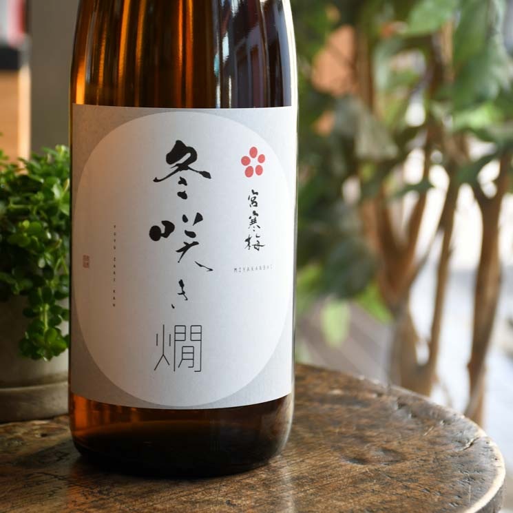 寒梅酒造 宮寒梅　蔵元限定品　日本酒 2025年製造 dotdashさん(2025年12月16日)の日本酒「宮寒梅」レビュー | 日本酒評価