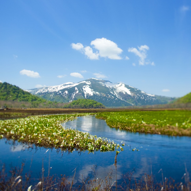 �����ܼ�ۿ��ξ� Artist Series �ǥ����ȥ��� 2023 ���ݴ���<300ml>