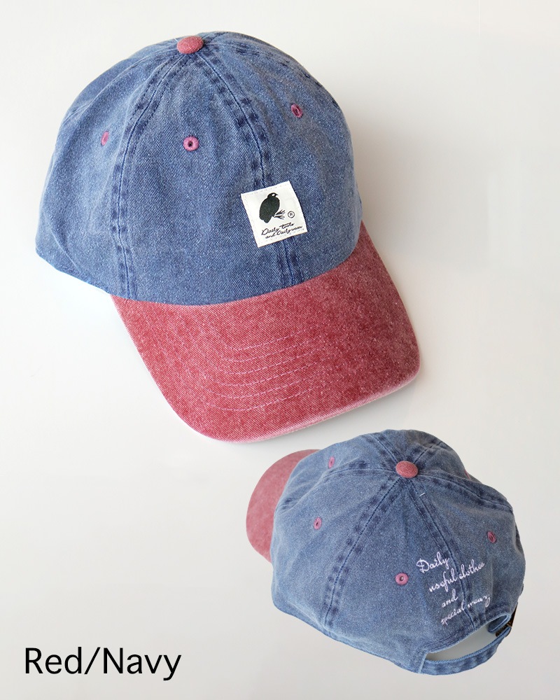 Johnnybird-Two tone 6cap jb-F0025A1 / ジョニーバード 2トーン