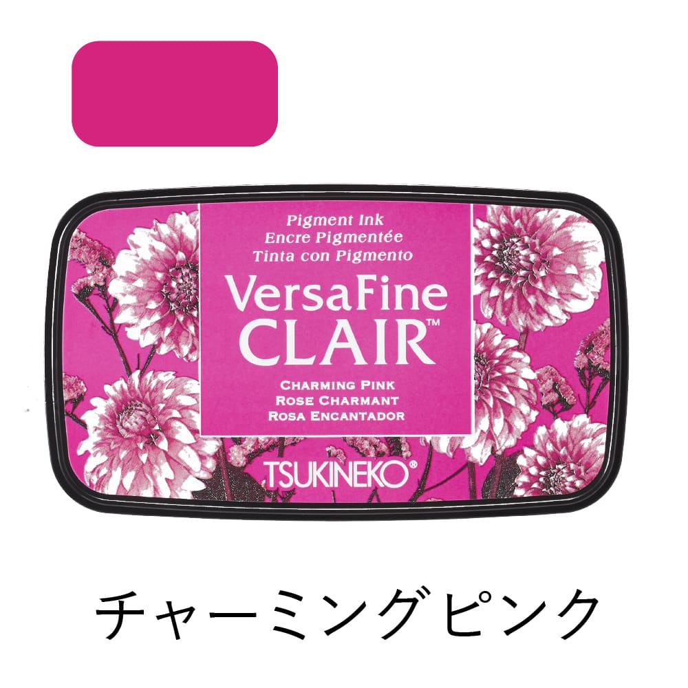 アメリカ製 輸入 ピンク ラバースタンプ マウント済『王冠を被っ