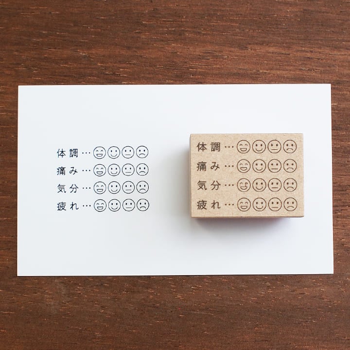 体調の記録A（b-110）