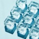 透明スタンプ 氷印セット ドウブツセット HITOTOKI