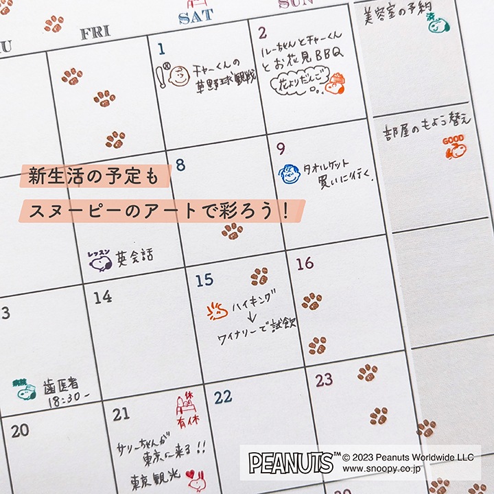 スヌーピー ポチッと6(ポチッとシックス) 天気を記録 こどものかお