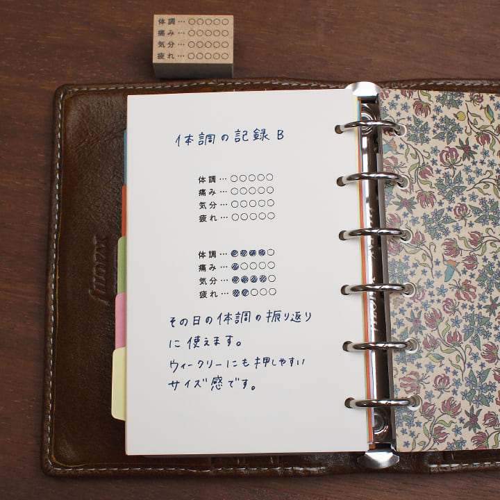 体調の記録B（b-111）