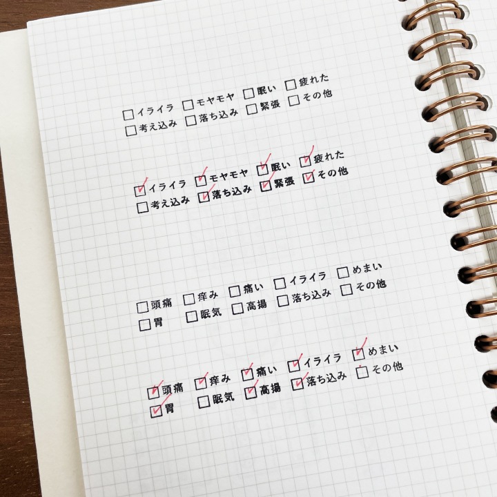 チェックリスト 8項目・気持ち（b-310）