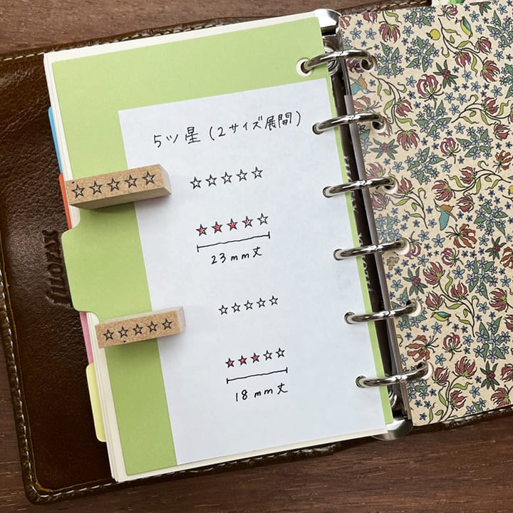 5ツ星 23mm丈（b-096）