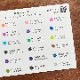 色見本カード バーサファインクレア 全24色