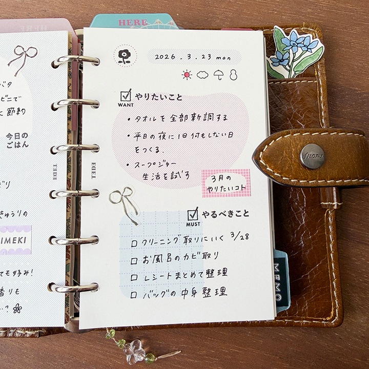 フレームミックスリフィル・ピンク×ブルー | ミニ6