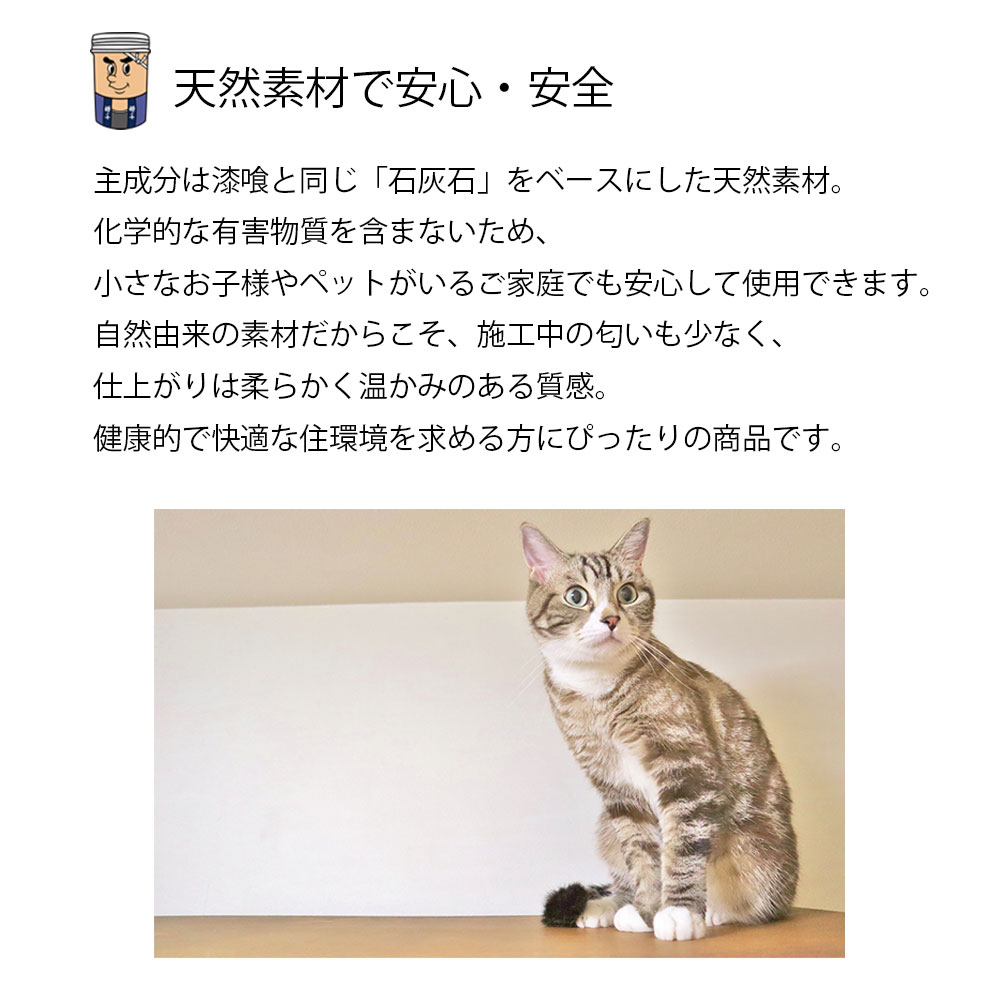 ひとりで塗れるもん マスカーヌ (ノルディックスカイブルー)