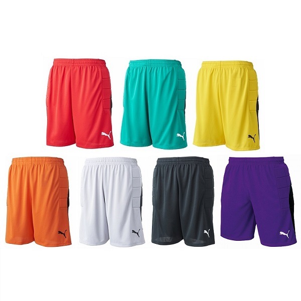 日本正規代理店品 プーマ サッカーウェア LIGA ゴールキーパーパンツ パッドツキ 729968 ボーイズ ブラック 06 日本 120