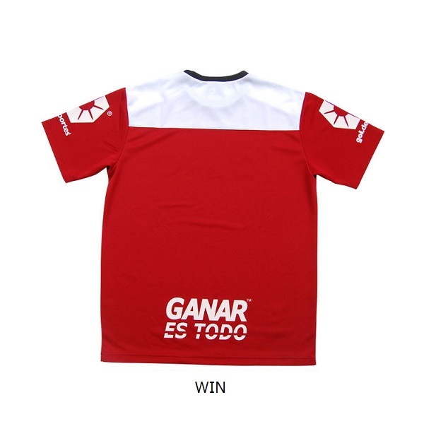 �ץ饯�ƥ��������1.3 ����gol.(����� G342-339