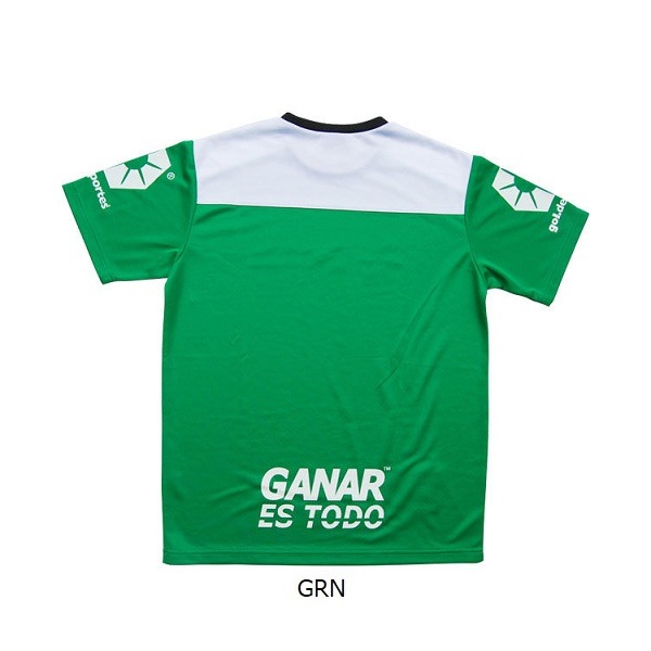 �ץ饯�ƥ��������1.3 ����gol.(����� G342-339