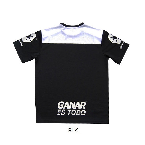 �ץ饯�ƥ��������1.3 ����gol.(����� G342-339