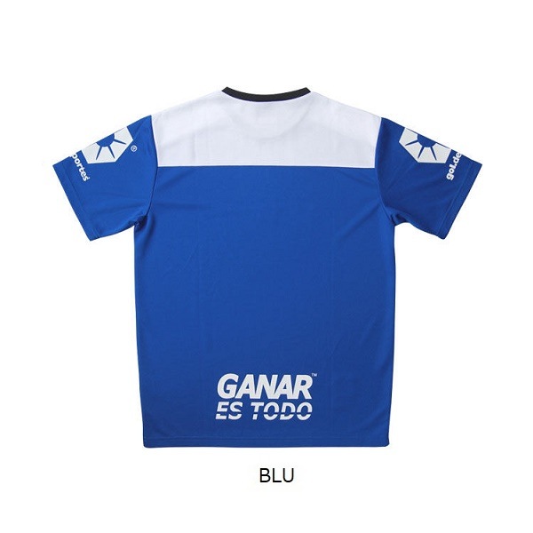 �ץ饯�ƥ��������1.3 ����gol.(����� G342-339