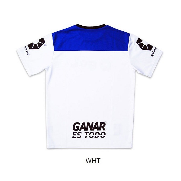 �ץ饯�ƥ��������1.3 ����gol.(����� G342-339