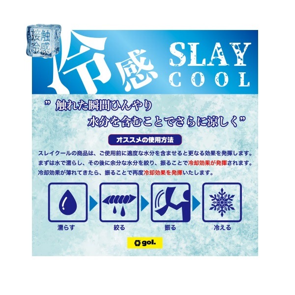 ���ܿ��䴶��Jr.���쥤������ϡ��ե��꡼�֥���ġ�RAY��gol.(�����G642-646J