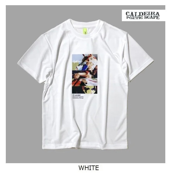 POETIC SCAPE PRA SHIRT ��Uplifting�� ��CALDEIRA(�����ǥ�)  14CR629