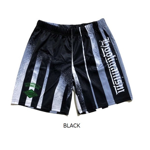 DRIP STRIPE PANTS "HOOLIGANISM" CALDEIRA(ǥ)12CR412