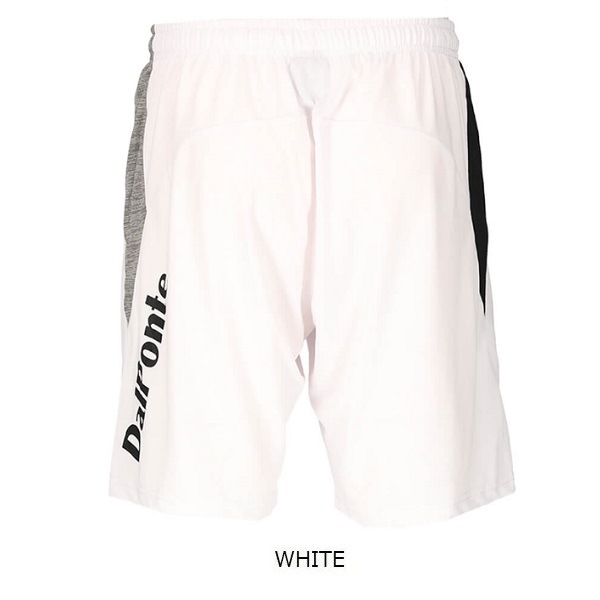 �����饤�ȥץ饯�ƥ����ѥ��Dalponte(�����ݥ��)DPZ0464