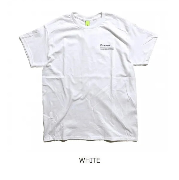 COTTON T-SHIRT ��QUEST FOR FREEDOM�� ��CALDEIRA(�����ǥ�)15CR705