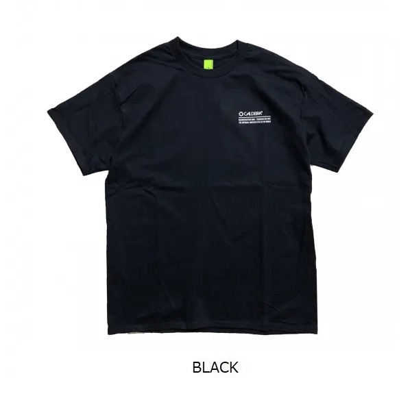 COTTON T-SHIRT ��QUEST FOR FREEDOM�� ��CALDEIRA(�����ǥ�)15CR705